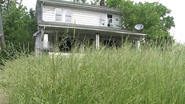 Tall grass grown up past the front porch of an overgrown residential property